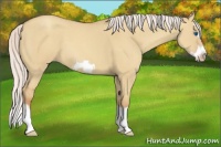Horse Color:Silver Classic Champagne Dun Splash Frame 
