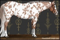 Horse Color:Silver Bay Roan Splash Near Leopard and Bay Roan Splash Near Leopard