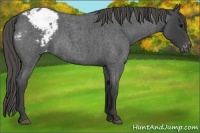Horse Color:Smoky Blue Roan Varnish 