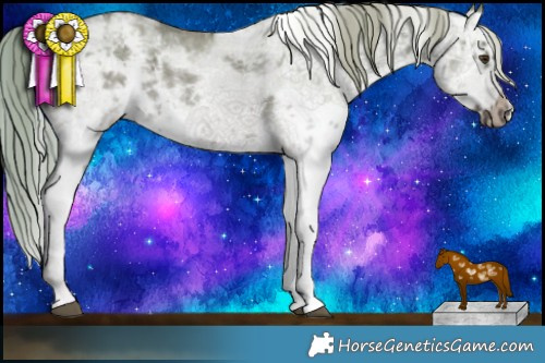 Horse Color:White Spotted Chocolate Palomino Dun Sabino Splash Frame 