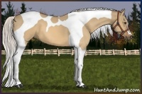 Horse Color:Silver Buckskin Dun Tobiano