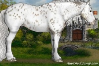 Horse Color:White Spotted Silver Smoky Black Splash Appaloosa Rabicano 