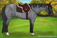 Horse Color:Blue Roan 