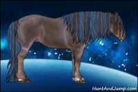 Horse Color:Gray Painted Chestnut 