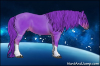 Horse Color:Gray Watercolor Chestnut