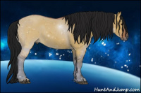 Horse Color:Gray Bay Dun 