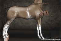Horse Color:White Spotted Liver Red Dun Splash 