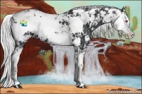 Horse Color:Silver Smoky Black Chinchilla Sabino 