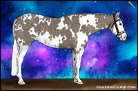 Horse Color:White Spotted Silver Smoky Black Splash 