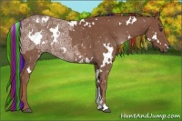 Horse Color:Painted White Spotted Chestnut Ice Rabicano 