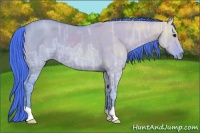 Horse Color:Watercolor Smoky Grullo Ice