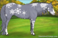 Horse Color:Watercolor Smoky Black Ice Sabino Rabicano 