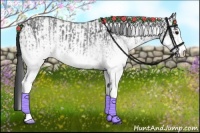 Horse Color:White Spotted Blue Roan Rabicano and White Spotted Blue Roan Rabicano