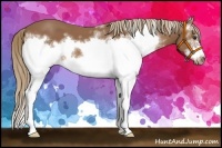 Horse Color:White Spotted Chestnut Frame 