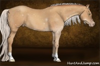 Horse Color:Silver Sable Champagne 