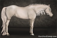 Horse Color:Chocolate Palomino Pearl
