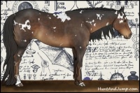 Horse Color:White Spotted Liver Chestnut Sabino 