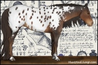 Horse Color:Liver Chestnut Sabino Near Leopard 
