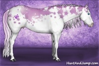 Horse Color:White Spotted Palomino Pearl Splash 