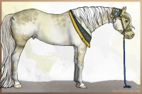 Horse Color:White Spotted Chocolate Palomino Dun Splash Frame