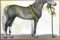 Horse Color:Silver Black Chinchilla Sabino 