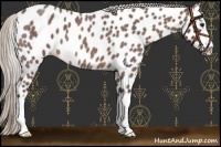 Horse Color:Silver Brown Roan Near Leopard 