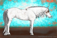 Horse Color:Brown Dun Sabino 