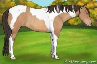 Horse Color:Sable Champagne Tobiano Rabicano