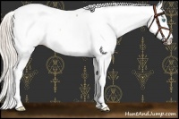 Horse Color:White Spotted Chocolate Palomino Pearl Appaloosa