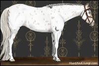 Horse Color:White Spotted Chocolate Palomino Pearl Appaloosa 