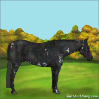 Horse Color:White Spotted Midnight Grullo Ice  and Midnight Black Ice 