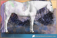 Horse Color:Painted Nacre Black Chinchilla Ice Tobiano  and Painted Nacre Silver Black Chinchilla Ice Tobiano 