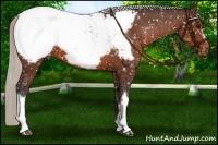 Horse Color:Silver Brown Snowcap 