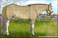 Horse Color:Plaid  White Spotted Chocolate Palomino Dun 