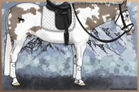 Horse Color:White Spotted Silver Smoky Blue Roan Splash Frame 