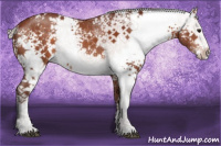 Horse Color:White Spotted Chocolate Silver Brown Splash 