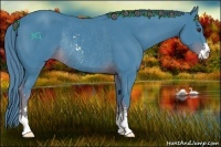 Horse Color:Watercolor Liver Chestnut Sabino Rabicano 