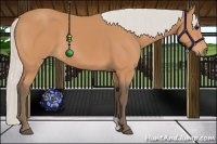 Horse Color:Silver Bay 