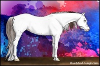 Horse Color:Liver Red Dun Appaloosa Brindle 