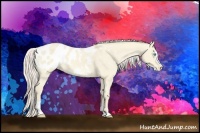 Horse Color:Cremello Dun Sabino Appaloosa