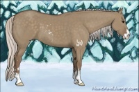 Horse Color:Silver Grullo Sabino