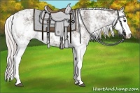 Horse Color:Silver Black Ice Sabino 