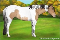 Horse Color:Sable Champagne Tobiano Rabicano