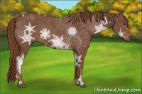 Horse Color:Chestnut Ice 