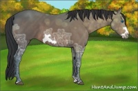Horse Color:Brown Ice Frame 