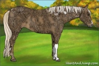 Horse Color:Palomino Ice 