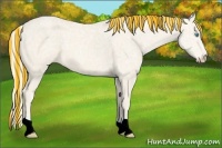 Horse Color:Painted Cremello Ice 