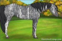 Horse Color:Black Ice 