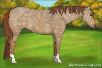 Horse Color:Red Dun Ice 