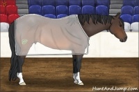 Horse Color:Brown 